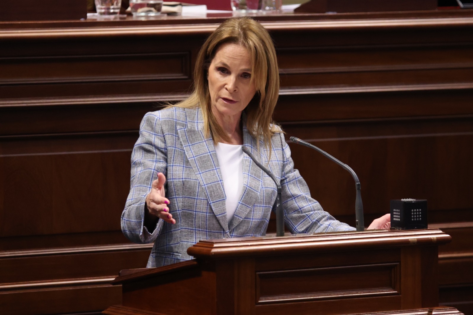 El PP lamenta que la crisis del hantavirus se haya convertido en “un ejercicio de prepotencia, opacidad y ninguneo absoluto a Canarias”